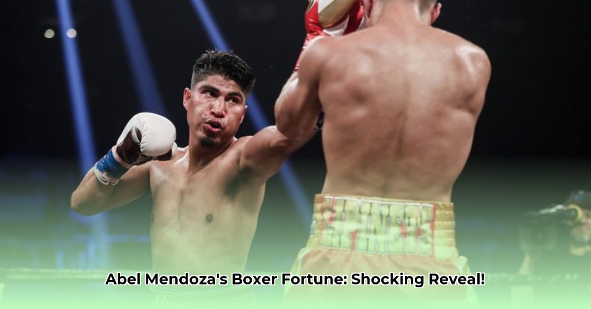 abel-mendoza-boxer-net-worth